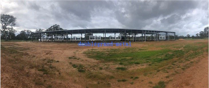 Modular Steel Shed/steel Structure Shed/sheep Shed/working Shed